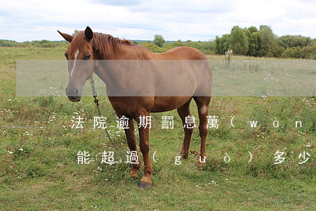 法院逾期罰息萬(wàn)分之(逾期罰息不能超過(guò)多少)