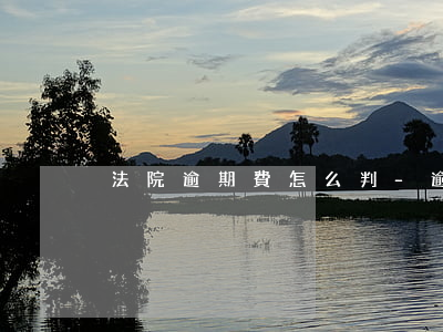 法院逾期費怎么判-逾期利息法院怎么判