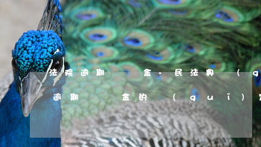 法院逾期違約金-民法典關(guān)于逾期違約金的規(guī)定