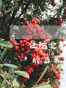 法院逾期郵件文書的后果（法院逾期郵件文書的后果）