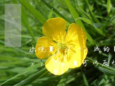 法院達(dá)成的調(diào)解協(xié)議可以反悔嗎(法院達(dá)成調(diào)解協(xié)議后反悔)