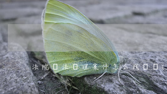 法院違法審理案件怎么找證據(jù)