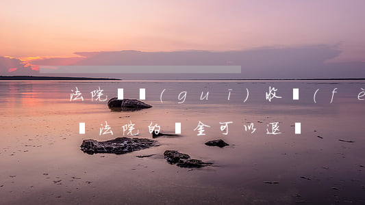 法院違規(guī)收費(fèi)可以退嗎(法院的罰金可以退嗎)