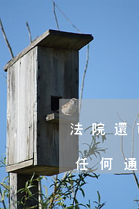 法院還可以凍結(jié)我的賬戶嗎(沒有任何通知,法院就可以凍結(jié)我的賬戶嗎)