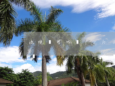 法院還可以執(zhí)行我的車嗎(法院能執(zhí)行我開別人的車嗎)