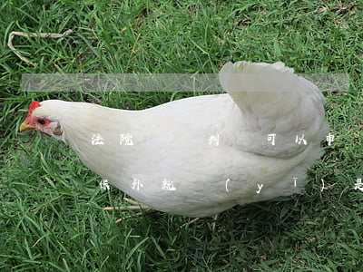 法院還沒判決可以申請保外就醫(yī)嗎(保外就醫(yī)是在判決后還是判決前)