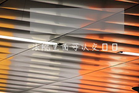 法院里面可以交費嗎