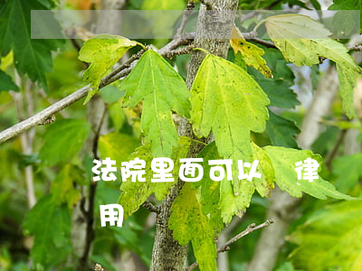 法院里面可以請律師嗎(案件到法院請律師有用嗎)