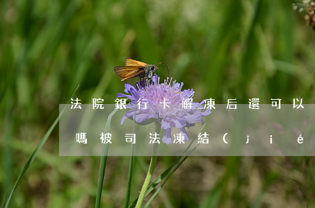 法院銀行卡解凍后還可以再凍結(jié)嗎(被司法凍結(jié)后解凍的銀行卡還會(huì)再被凍結(jié)嗎)