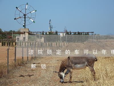 法院锁定的车可以年申吗(法院锁定车多久能解锁)