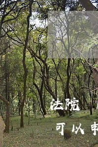 法院開(kāi)庭不到場(chǎng)可以申請(qǐng)黑名單嗎(法院開(kāi)庭被告不到場(chǎng)怎么辦)