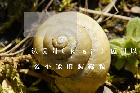 法院開(kāi)庭可以照相嗎(法庭上為什么不能拍照錄像)