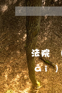法院開(kāi)庭可以遲到嗎(法院開(kāi)庭遲到半小時(shí)怎么辦)