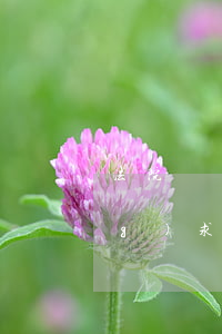 法院開(kāi)庭后增加訴訟請(qǐng)求可以嗎(判決前可以增加訴訟請(qǐng)求嗎)