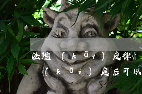 法院開(kāi)庭律師去本人回避可以嗎(開(kāi)庭后可以提出回避嗎)