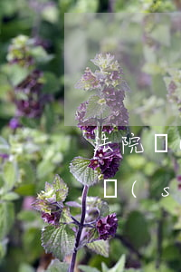 法院開(kāi)庭時(shí)家屬可以說(shuō)話嗎(開(kāi)庭時(shí)家屬能不能說(shuō)話)