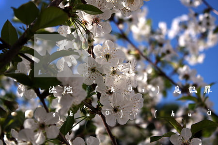 法院開(kāi)庭犯罪人可以和家屬說(shuō)話(huà)嗎(法院判決后犯人可以和家人說(shuō)話(huà)嗎)