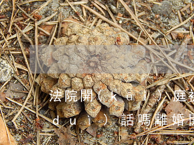 法院開(kāi)庭被告人可以和原告對(duì)話嗎(離婚開(kāi)庭原告需要說(shuō)話嗎)