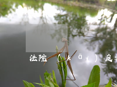 法院開(kāi)庭要怎么做
