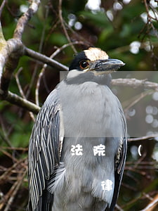 法院開(kāi)庭費(fèi)用可以退嗎(律師費(fèi)用沒(méi)有開(kāi)庭 可以退錢(qián)嗎)