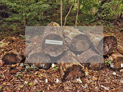 法院開(kāi)庭遲到可以進(jìn)去嗎(開(kāi)庭遲到了,法官會(huì)怎么辦)