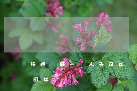 法院開庭一個人去可以嗎(法院開庭一個人去可以嗎)