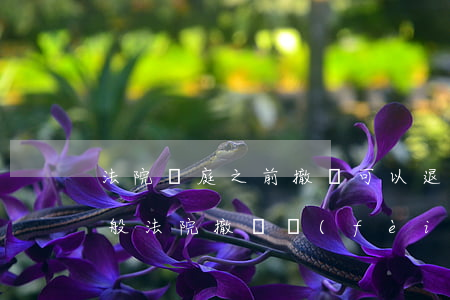 法院開庭之前撤訴可以退費(fèi)嗎(一般法院撤訴費(fèi)用多久會(huì)退)