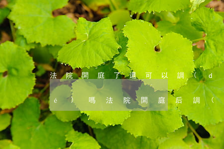 法院開庭了還可以調(diào)節(jié)嗎(法院開庭后調(diào)解有期限嗎)