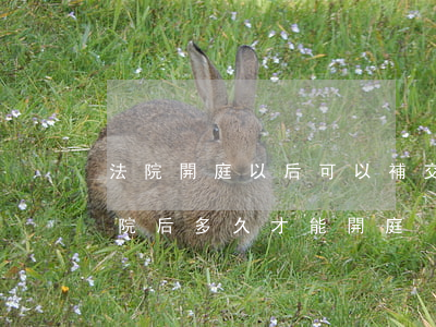 法院開庭以后可以補交材料嗎(材料提交給法院后多久才能開庭)