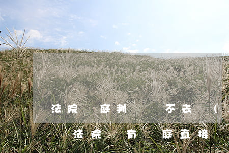法院開庭判決書不去領(lǐng)取可以嗎(法院沒有開庭直接給判決書)