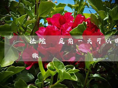 法院開庭前一天可以撤訴嗎(開庭前一天可以撤訴嗎?)