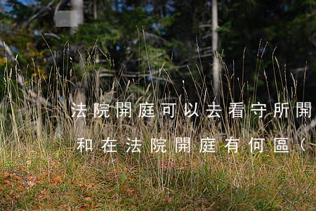 法院開庭可以去看守所開庭嗎(在看守所開庭和在法院開庭有何區(qū)別)