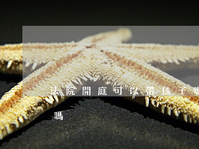 法院開庭可以帶孩子嗎(開庭可以帶家人參加嗎?)
