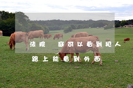 法院開庭可以看到犯人嗎(犯人去法院開庭的路上能看到外面嗎)