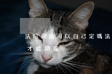 法院開庭可以自己定嗎(法院開庭必須幾個人才能開庭)