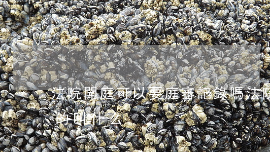 法院開庭可以要庭審記錄嗎(法院開庭做記錄的叫什么)