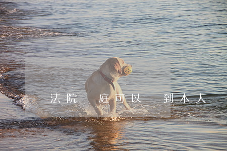 法院開庭可以見到本人嗎(開庭能見到當事人嗎)