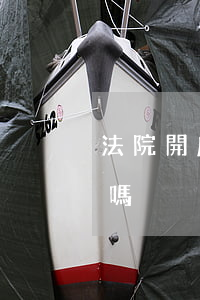 法院開庭可以觀眾提問嗎(法院開庭允許旁聽嗎)