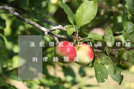 法院開庭可以請兩個律師嗎(律師可以委托別的律師開庭么)