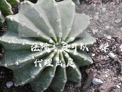 法院開庭可以請律師代理嗎(被告可以請律師代理出庭嗎)