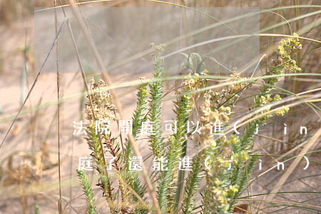 法院開庭可以進(jìn)去旁聽嗎(法院開庭了還能進(jìn)去旁聽嗎)