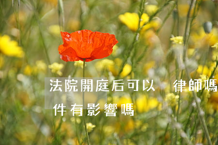 法院開庭后可以換律師嗎(開庭前換律師對案件有影響嗎)