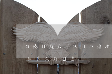 法院開庭后可以當即逮捕嗎(一般收到逮捕令后多久能開庭)