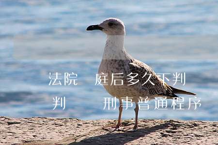 法院開庭后多久下判決書(法院開庭后多久下判決書刑事普通程序)