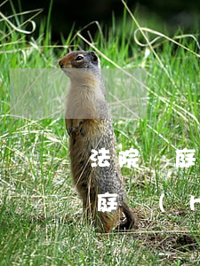法院開庭后還可以減刑嗎(刑事上訴后多久開庭會(huì)減判嗎?)