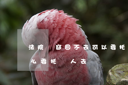 法院開庭回不去可以委托人嗎(開庭到不了怎么委托別人去)