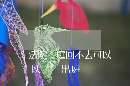 法院開庭回不去可以視頻嗎(法院開庭被告可以視頻出庭嗎)