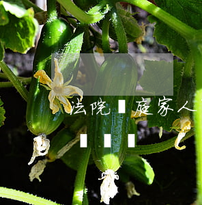 法院開庭家人可以說話嗎(開庭時被告家屬能說話嗎)