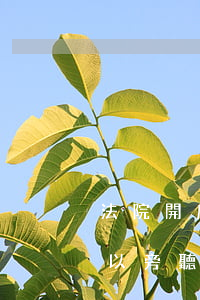 法院開庭家里人可以旁聽嗎(法院開庭家屬可以旁聽嗎要辦什么手續(xù))