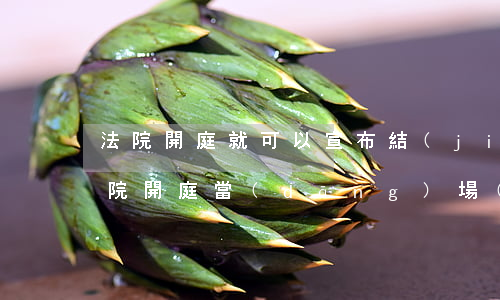法院開庭就可以宣布結(jié)果了嗎(法院開庭當(dāng)場(chǎng)宣布結(jié)果嗎)